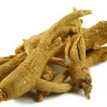 ginseng_root