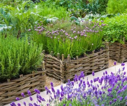 herb-garden